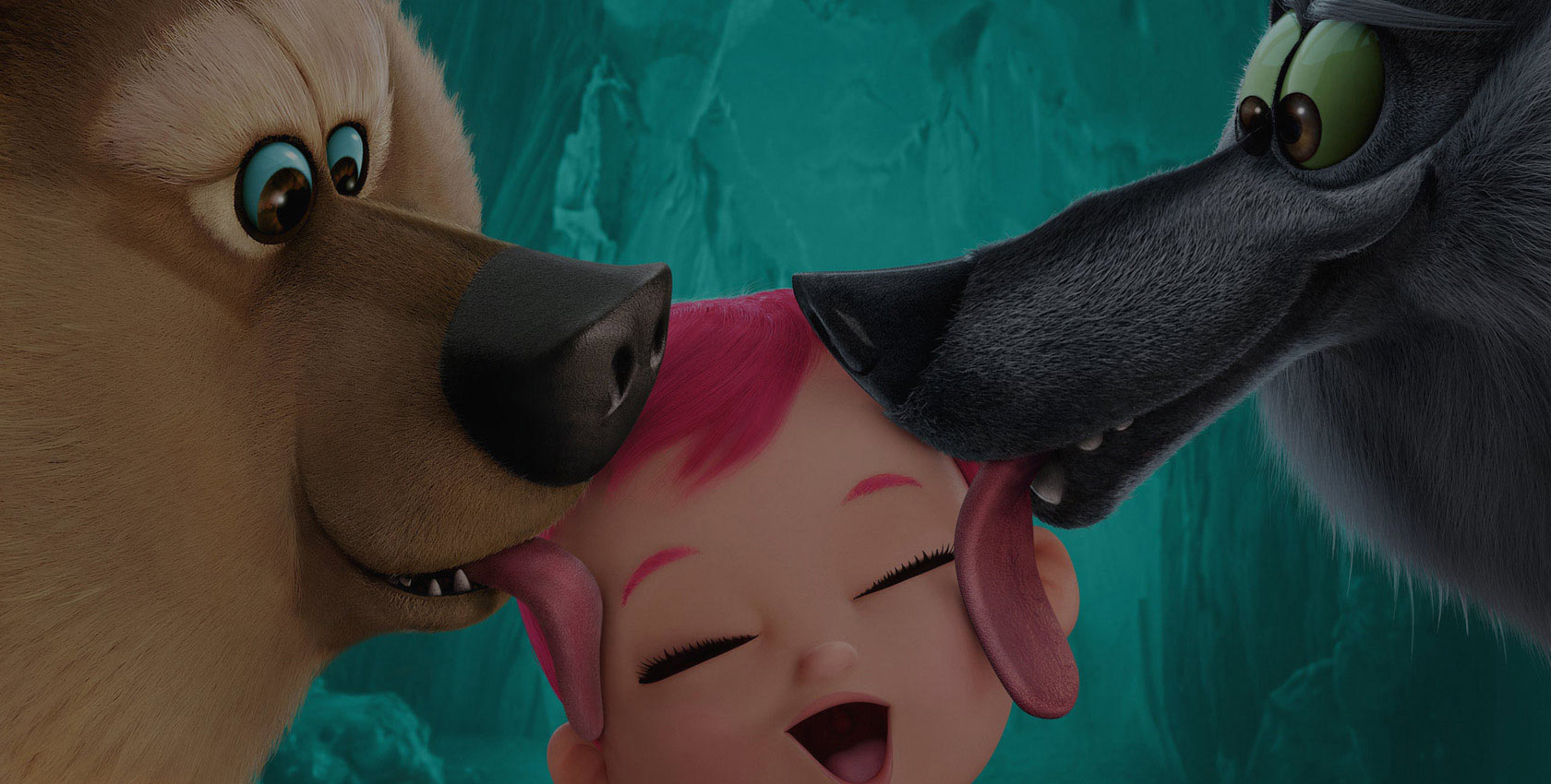 无限循环呼叫短信软件